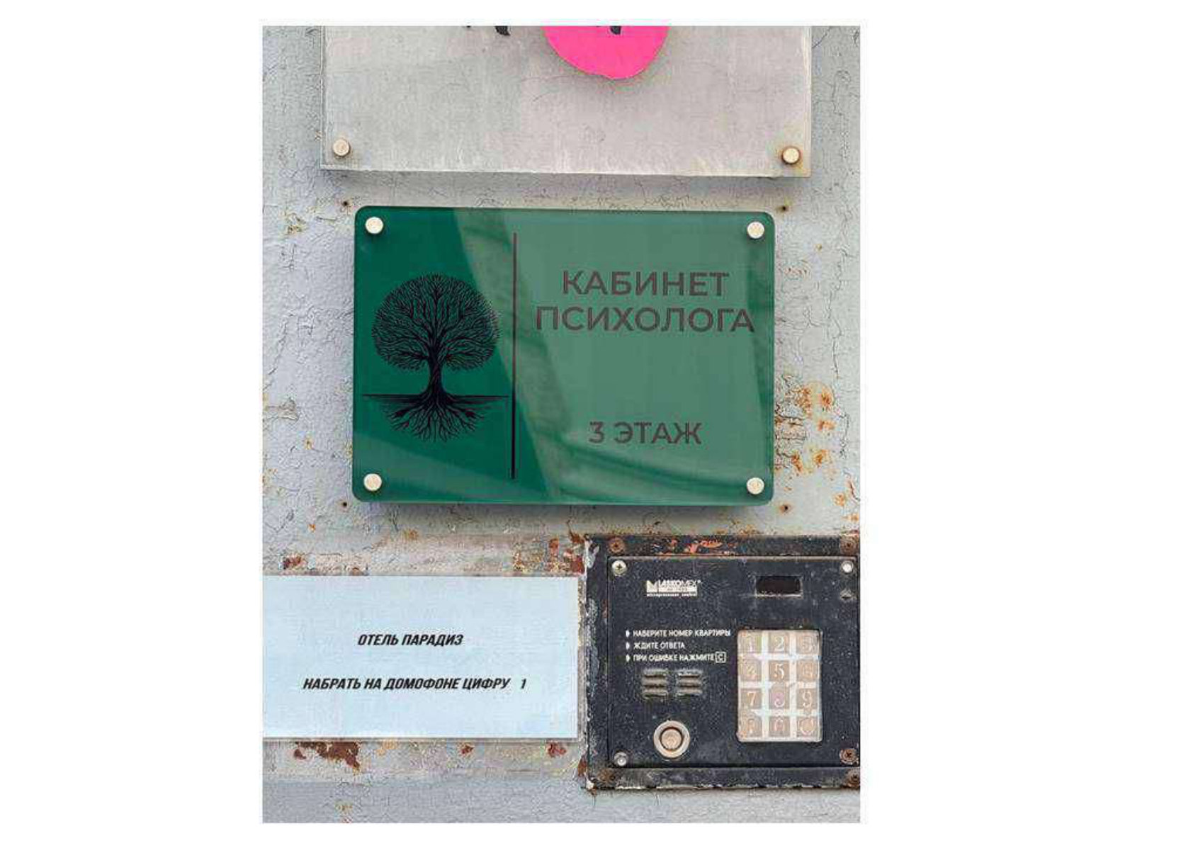 На домофоне наберите 1, кабинет психолога на 3 этаже